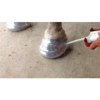 Buty Explora Racing - 1 but