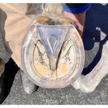 Podkowy EasyShoe Step 3D