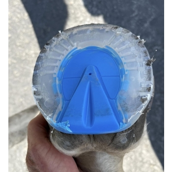 Podkowy EasyShoe One Sticky