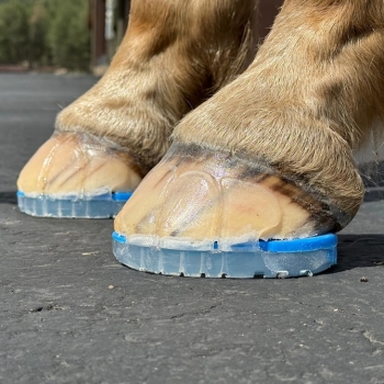 Wkładka kątowa 2,5° do podkowy EasyShoe One i Sticky