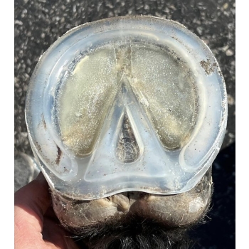 Podkowy EasyShoe Race Light