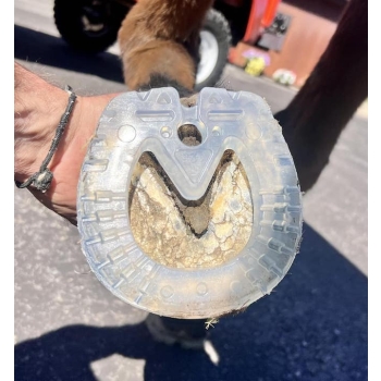 Podkowy EasyShoe Speed