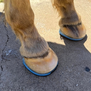 Podkowy EasyShoe Triple D