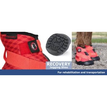 Buty Equine Fusion Recovery - nowa wersja 2.0