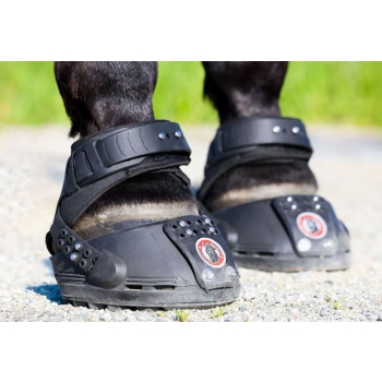 Buty Equine Fusion Trailblazer Jogging Shoe