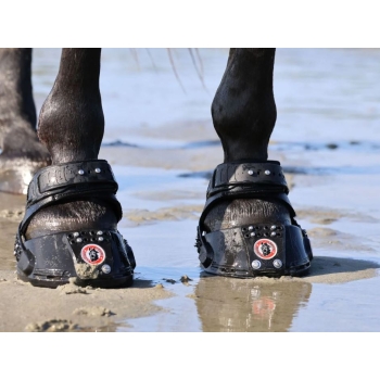 Buty Equine Fusion Trailblazer Jogging Shoe