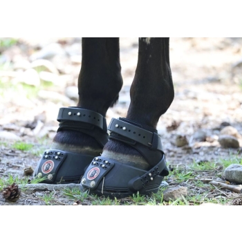 Buty Equine Fusion Trailblazer Jogging Shoe