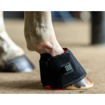 Nakładka na kopyto do światłoterapii (PBM)