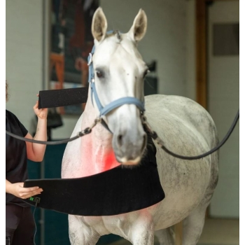 Nakładka na grzbiet i pierś do światłoterapii (PBM)