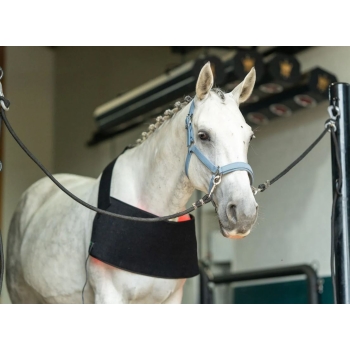 Nakładka na grzbiet i pierś do światłoterapii (PBM)