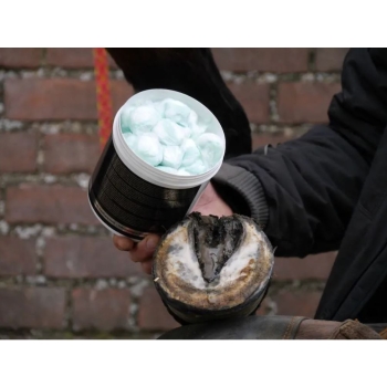 Silver Hoof Sticks - sztyfty lecznicze do strzałek 100 szt.