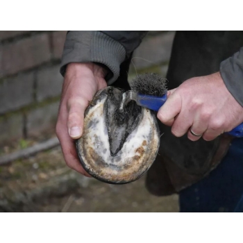 Silver Hoof Sticks - sztyfty lecznicze do strzałek 100 szt.